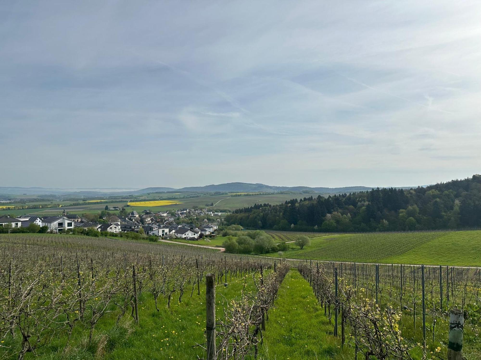 Ferienwohnung Moselherz - Urlaub Im Wein- Und Ferienort Bekond Екстериор снимка