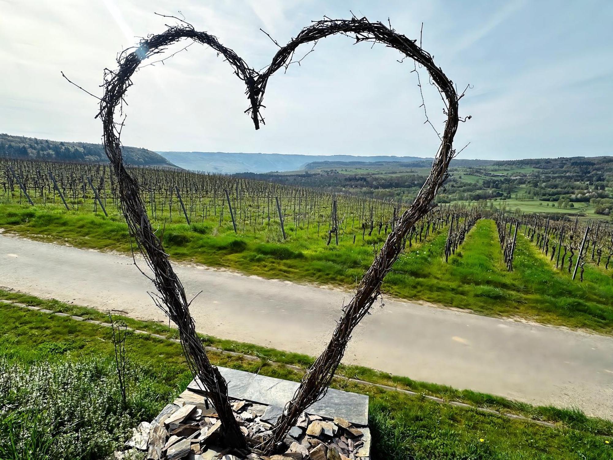 Ferienwohnung Moselherz - Urlaub Im Wein- Und Ferienort Bekond Екстериор снимка