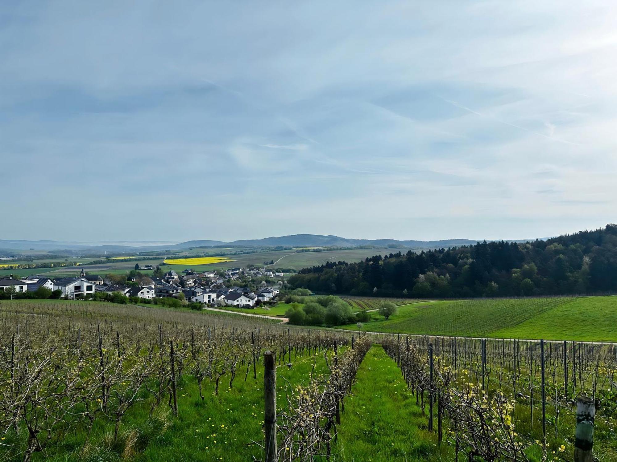 Ferienwohnung Moselherz - Urlaub Im Wein- Und Ferienort Bekond Екстериор снимка
